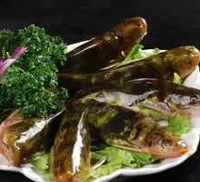 Yellow Croaker