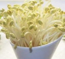 Bean sprouts