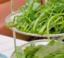 Guangdong Water Spinach