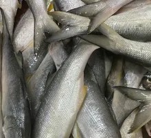Bamboo Shoot and Fish Stir-fry