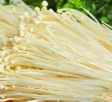 Enoki Mushroom