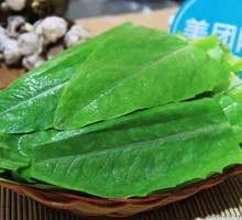 Oilseed lettuce