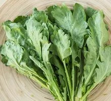 Southern Large-Leaf Chrysanthemum Greens