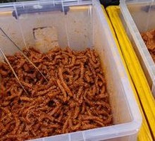 Spicy Snack