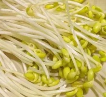 Mung Bean Sprouts