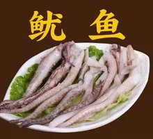 Squid