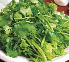 Cilantro
