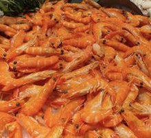 Sea Shrimp