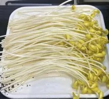 Long Bean Sprouts