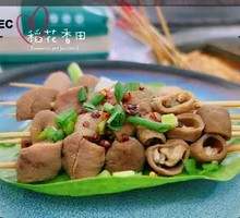 Beef Intestine