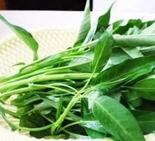 Water spinach