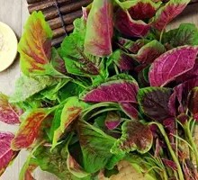 Red Amaranth