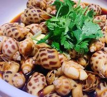 Chilled Waved Snail