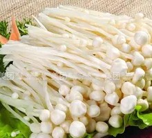 Enoki Mushroom