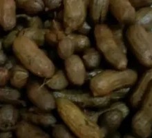 Signature Shelled Peanuts