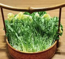 Vegetable Platter