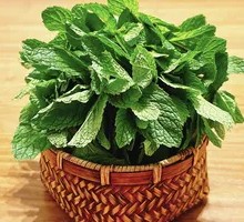 Mint Leaves