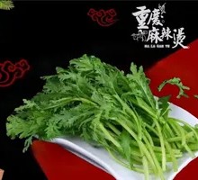 Chinese chrysanthemum greens