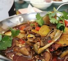 Dry Pot Softshell Turtle