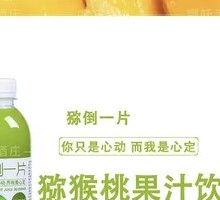 Kiwi Juice
