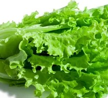 Mixed Salad