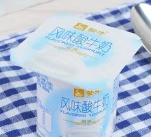 Original Flavor Yogurt