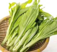Bok choy sprouts