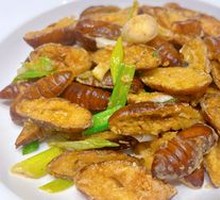 Split Silkworm Pupa