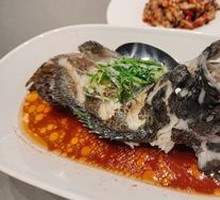 Steamed Tiger Grouper