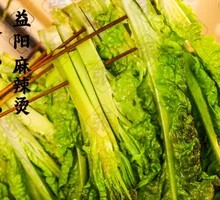 Bamboo Shoots