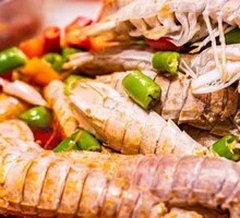 Mantis Shrimp