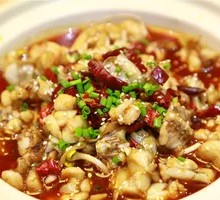 Jumping Frog with Flavor
