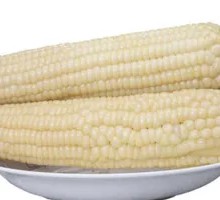 Sweet Glutinous Corn