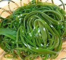 Kelp