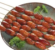 Silkworm Pupa Skewers