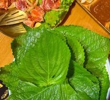 Perilla Leaf