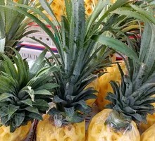 Pineapple