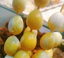 Quail Egg