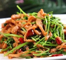 Spicy Shredded Pork