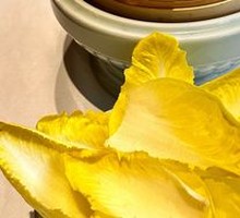 Magnolia Petals