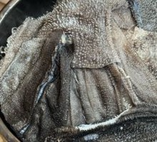 Fresh Beef Tripe from Slaughterhouse
