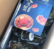 Premium Female Crab