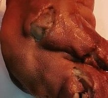 Braised Pig Trotters