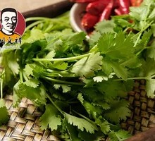 Cilantro