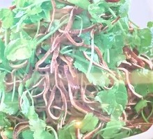 Black Bean Noodles with Three-Leaf Herb