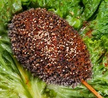 Dirty Chicken Cutlet