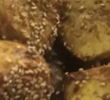 Roasted Quail Egg