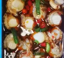 Scallop