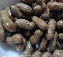 Salted Peanuts