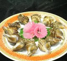 Small Conch